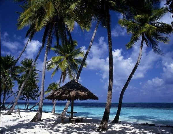 Maldives Bandos