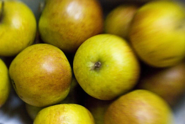 Massed Coxs apples ahot with a lensbaby lens for blurred edge effect credit: Marie-Louise