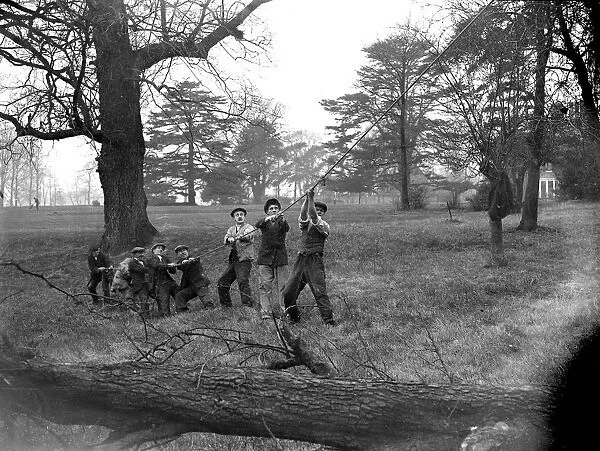 Men bringing down the tree by pulling on a rope, on the grounds at Sidcup Place. 1934