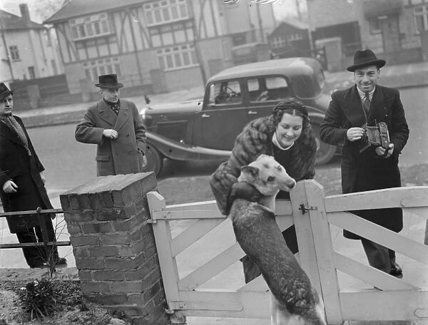 Miss Muriel Oxford is welcomed to the gate by an excitable dog. 1937