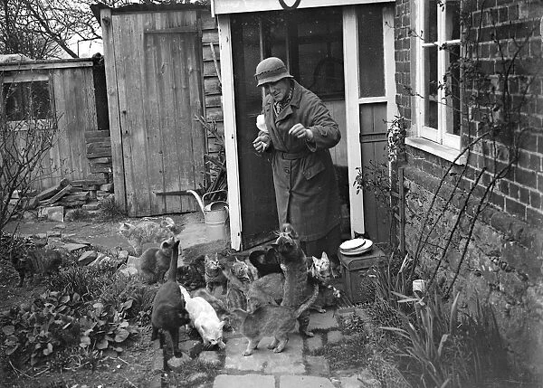 Miss Nancy Rutherford outside the house feeding her 15+ cats. 1934