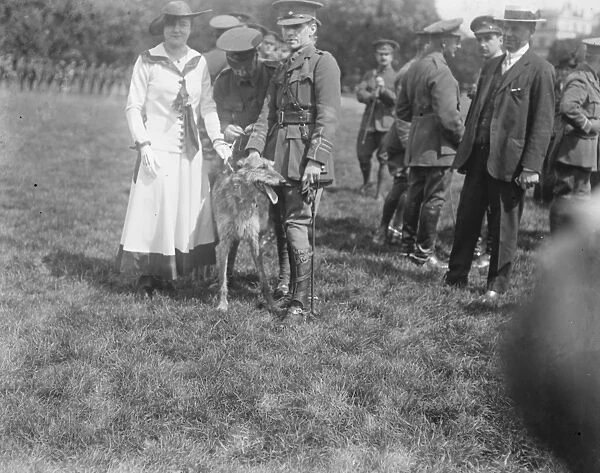 Mlle Delysia presents a mascot to the 6th City of London Regiment at Regents Park