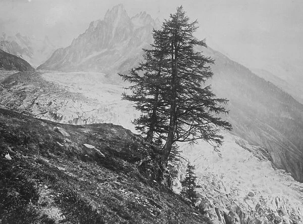 Mont Blanc from Chamonix. Showing the pyramid of forest firs November 1920
