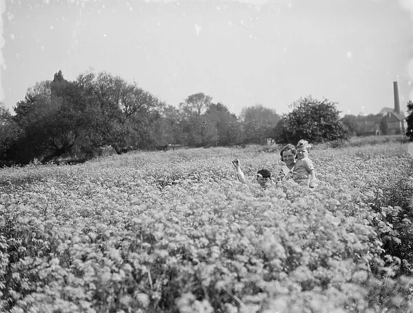 Mrs Francis and children walking through a field of cowslips. 1936