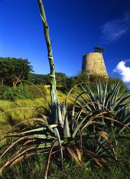 Old sugar mill on the island of Antigua [West Indies]