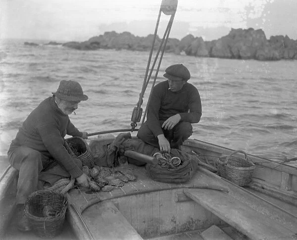 Ormering in the Channel Islands. Fishermen fishing for abalone or ormers. Counting their catch