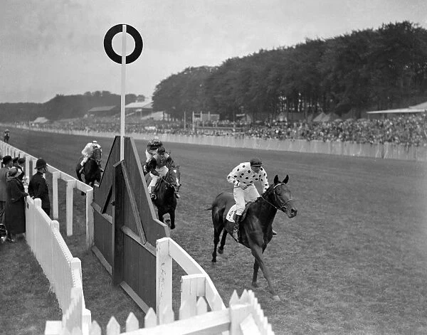 Perifox winning the Gordon Stakes at Goodwood Racecourse, Sussex, England