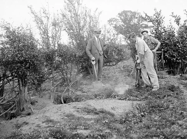 A pest controller injects Cyanogas into rabbit burrows. 1936