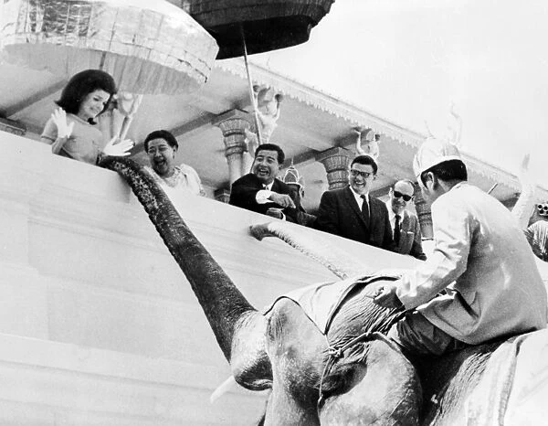 Phnom Penh : Mrs John. F. Kennedy gleefully feeds a Royal Elephant at the Khemarin