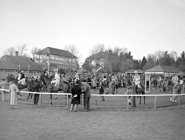 The picturesque paddock at Fontwell Park Racecourse, West Sussex, England