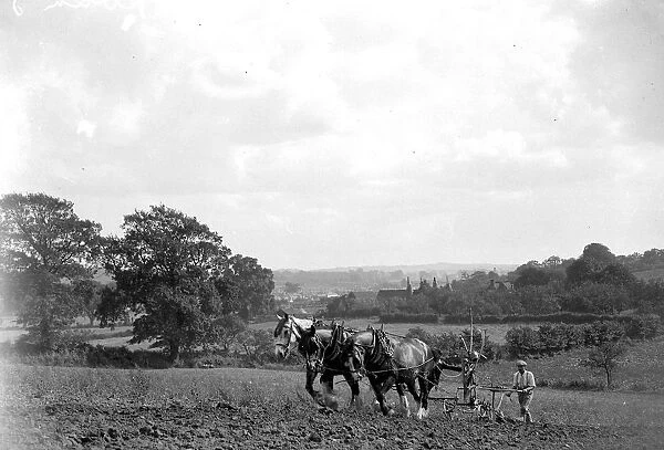 Ploughing Scene. March 1954