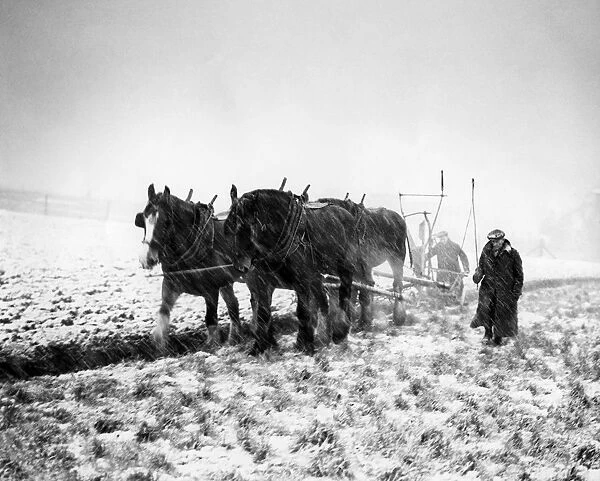 Ploughing in a snowstorm when Britain needed food - January 1947 A TopFoto