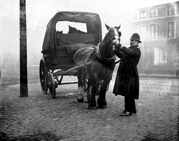 Police inspect horses mouth. ( P. C. Dent). 1933 photograph by John Topham