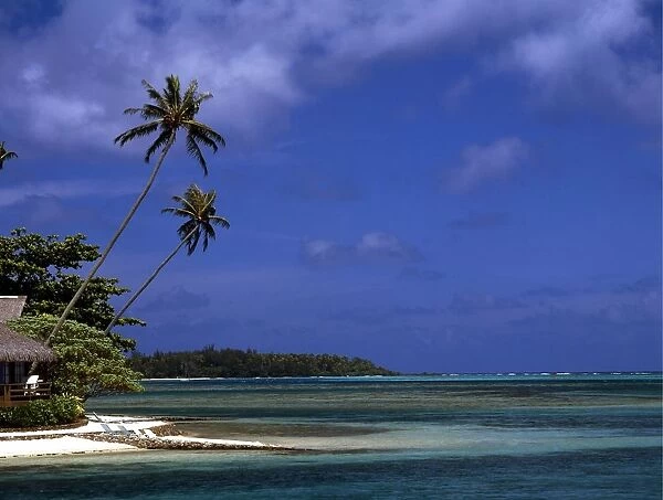 Polynesia Tahiti Moorea