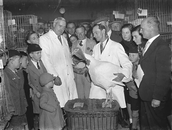 Poultry show in Chislehurst, Kent. Mr G Balfour shows children a turkey. 1938