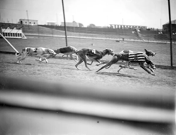 Preparing for the opening of the New Greyhound Racing Track at Harringay