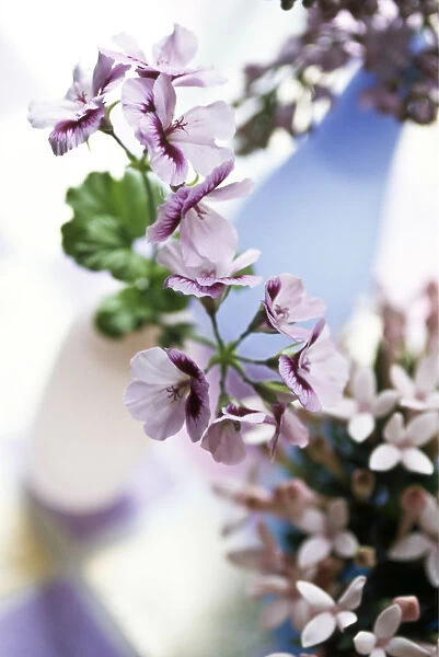 A pretty table arrangement of various mauve and pink small petalled flowers in delicate