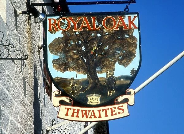 Pub sign for one of the Thwaites Houses, The Royal Oak