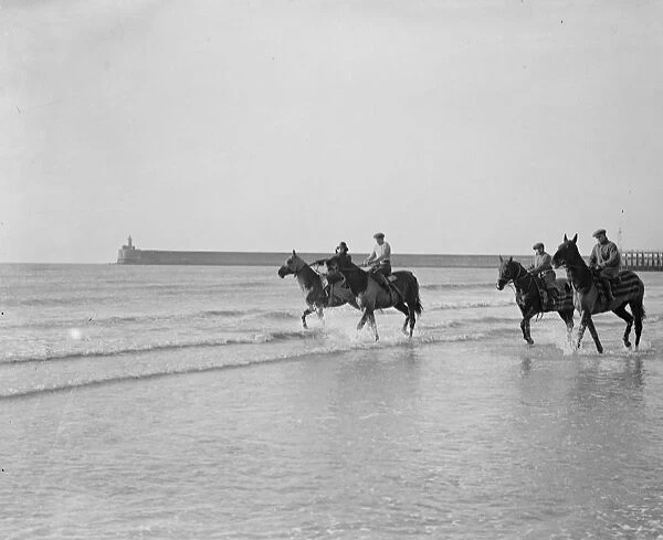 Four racehorses taking the cure in the surf at Seaford. Second from left is Master Orange