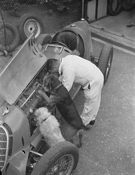 A racing driver and two dogs check the engine of a racing car. 1939