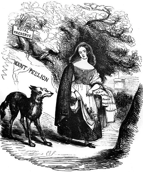 The Royal Red Riding Hood and the Ministerial Wolf from Punchs Pencillings No. IX ?TopFoto