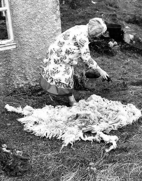 Royal weaver of Harris, Mrs McDonald. Putting rock crottal on wool to prepare it for dyeing