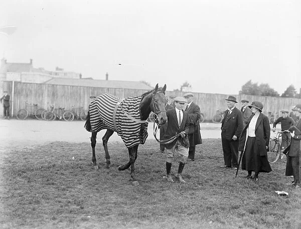 Sansovino racehorse 1924