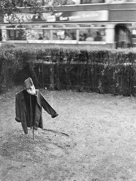 A scarecrow in a garden. 1938