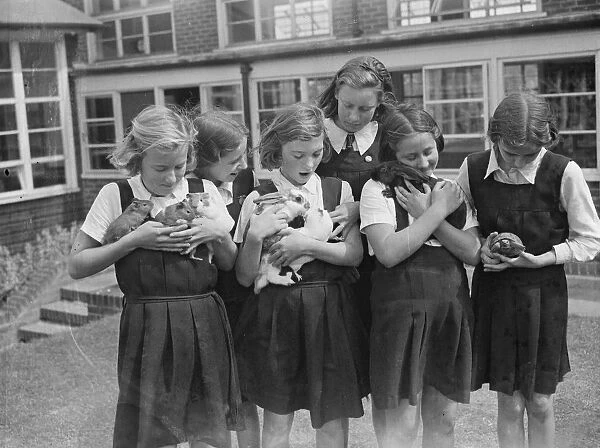 Schoolgirls with their pets at school. 1939