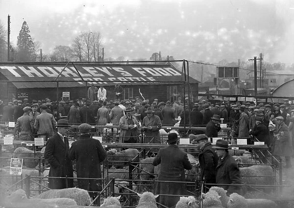 Sevenoaks Xmas Market. 1933
