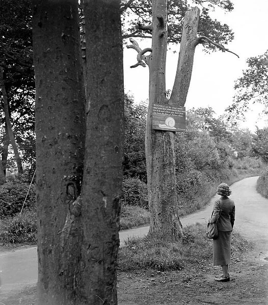 Sign for hikers in Otford, Kent. 1933