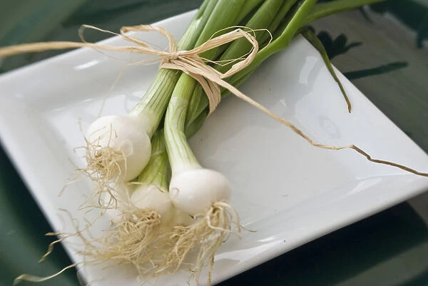 Small bindle of fresh salad onions on white plate credit: Marie-Louise Avery  / 