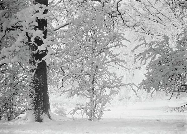 Snow scene in Kent. 1939