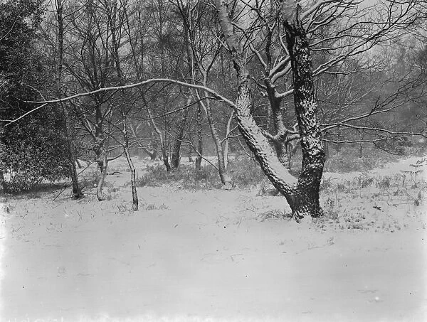 Snow scenes in Chislehurst, Kent. 26 December 1938