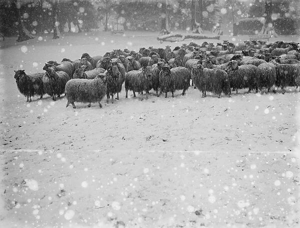 Snow scenes at Hampstead Heath December 1920