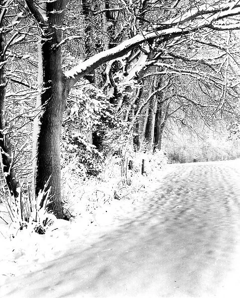 A snowy scene of a road and woods, Downe, Kent, England. 3 February 1962