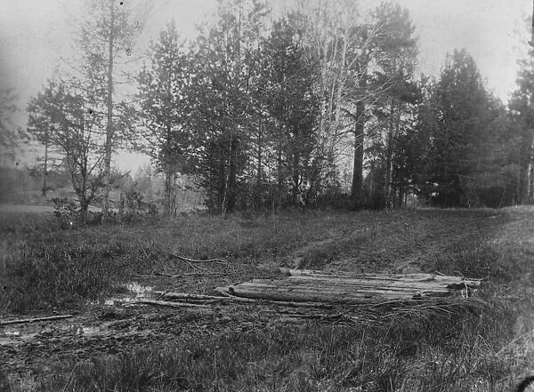 A spot in the wood near Ekaterinburg where remains of Russian Royal family have been