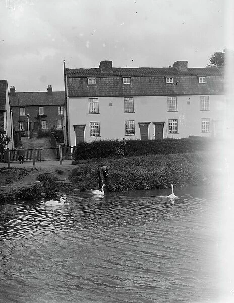 St Mary Cray riverside cottages and swans. 1935