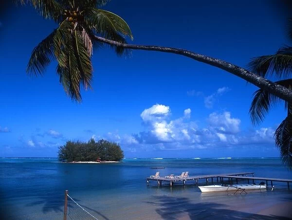 Staging post, palm tree and islet, on the island of Morea (off Tahiti)