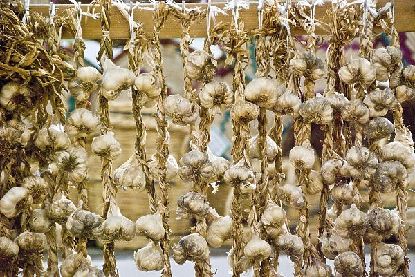 Strings of garlic for sale in covered market in Limassol, Cyprus credit: Marie-Louise