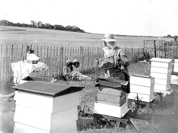Swanley College girls at bee education. 1934
