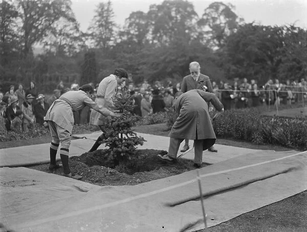 The Swanley Horticultural Show in Kent. Planting a Coronation tree to celebrate