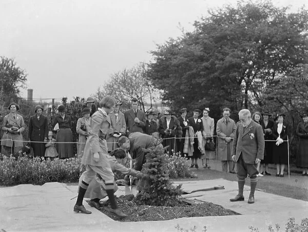 The Swanley Horticultural Show in Kent. Planting a coronation tree to celebrate