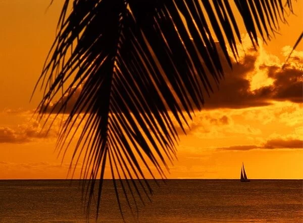 T4. 01 West Indies. Antigua. Sunset with palms and boat