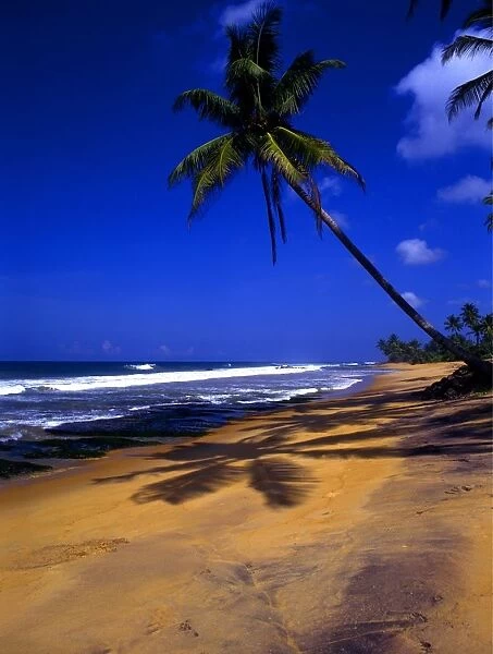 T4. 026 Sri Lanka. Beach to the north of Galle