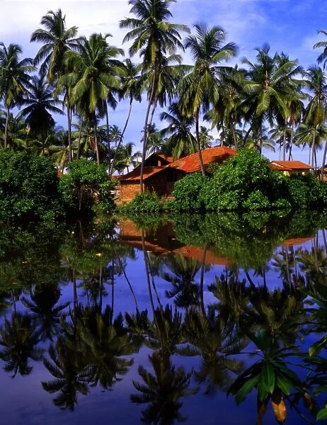 T4. 07 Sri Lanka. Nogombo
