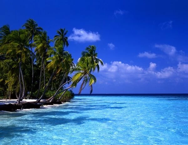 T4. 10 Maldives. Little Bandos island