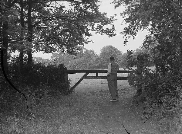 Taking in the view from a field on Farthing Street in Farnborough, Kent, which