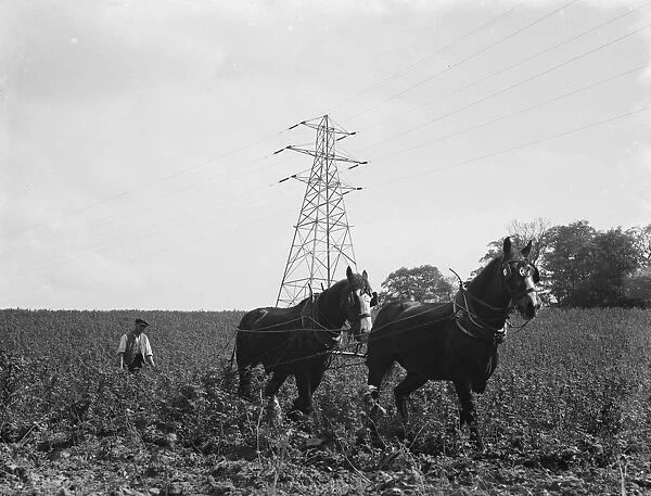 A team of four houses ploughing a large field in the background is a pylon