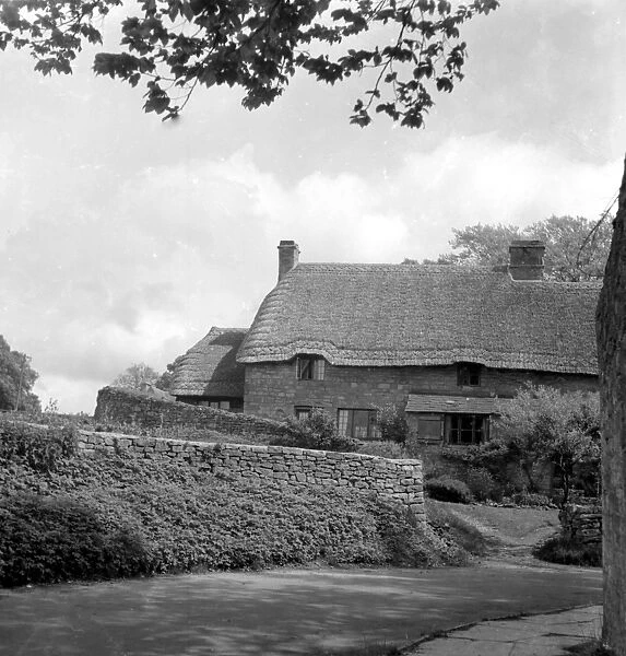 Thatched Cottage. 21 May 1952